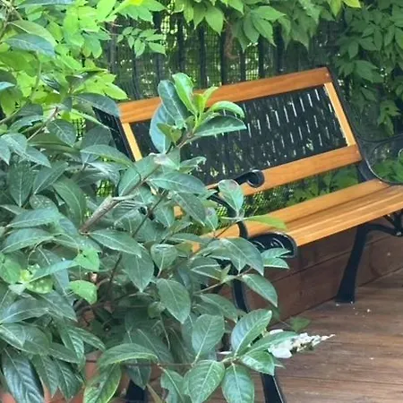 公寓 Cloe Corfu Town *